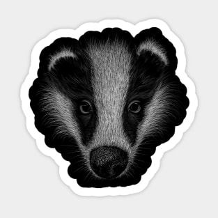 WildLife Sketch-Art Badger Pencil Drawing Sticker